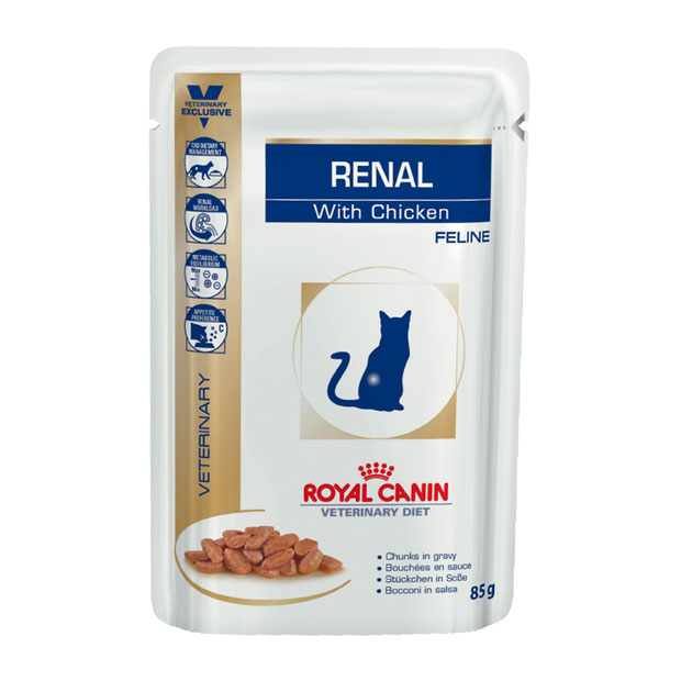 cat food for cats with kidney issues