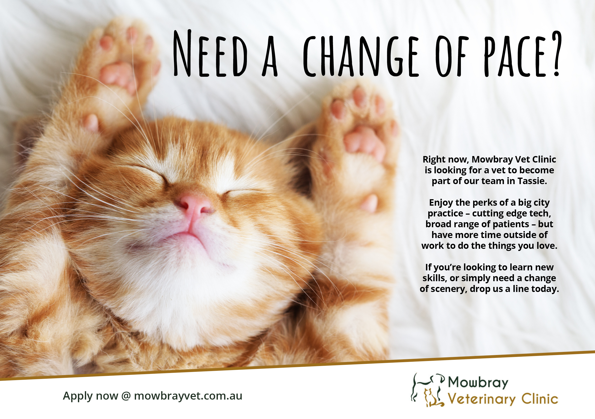 Mowbray Vet Recruit Ad