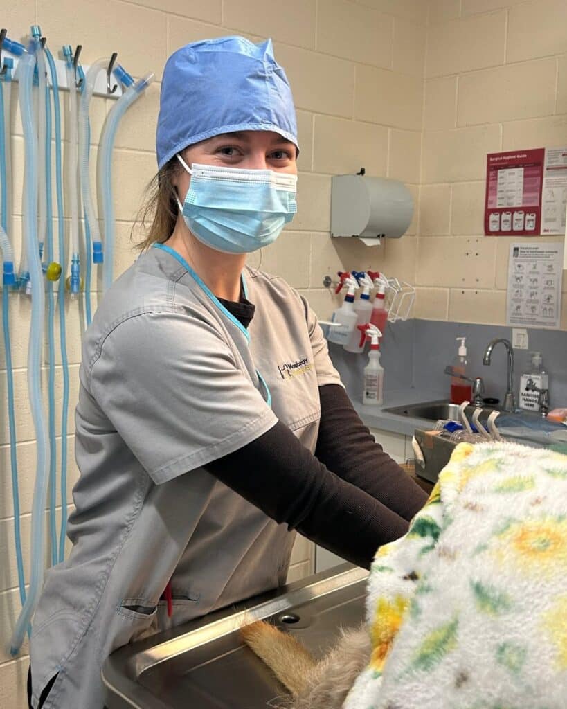 FAQs For Surgery Patients